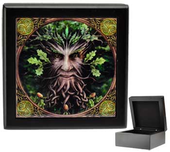 Anne Stokes Greenman box