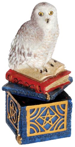 Snow Owl Magical Box