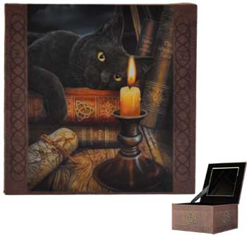 Cat Mirror box