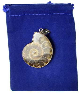 Ammonite pendant