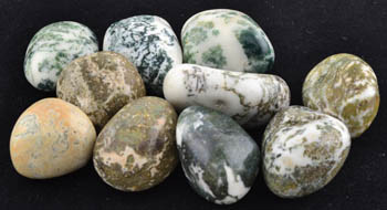 1 Lb Tree Agate tumbled