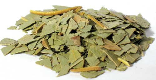 Eucalyptus cut 2oz