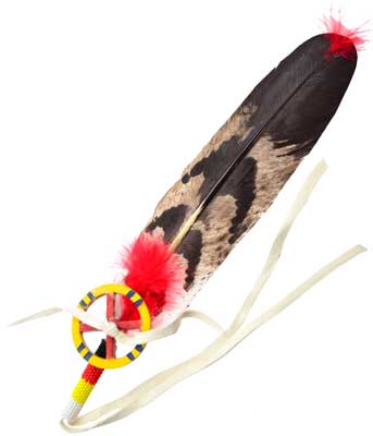 Deluxe smudging feather 12"