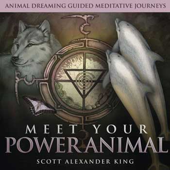 CD: Meet your Power Animal (king)